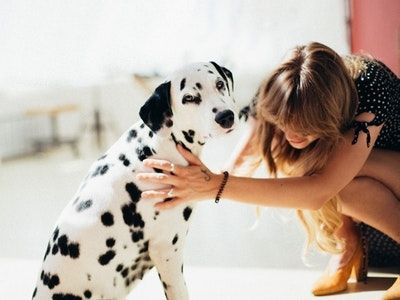 How to Tell If Your Pet Is Stressed and What To Do About it