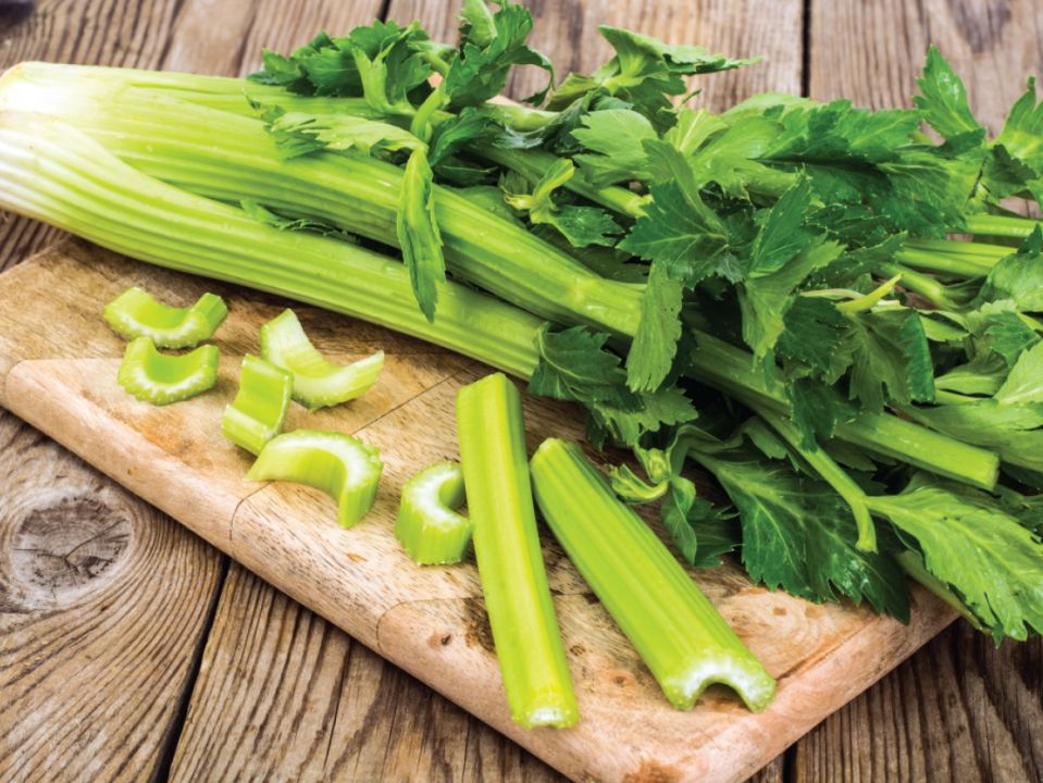 Celery