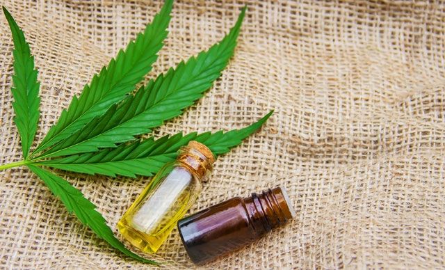 Hemp Seed Oil is a Nutritional Wonder Benefiting Your Body Inside and Out
