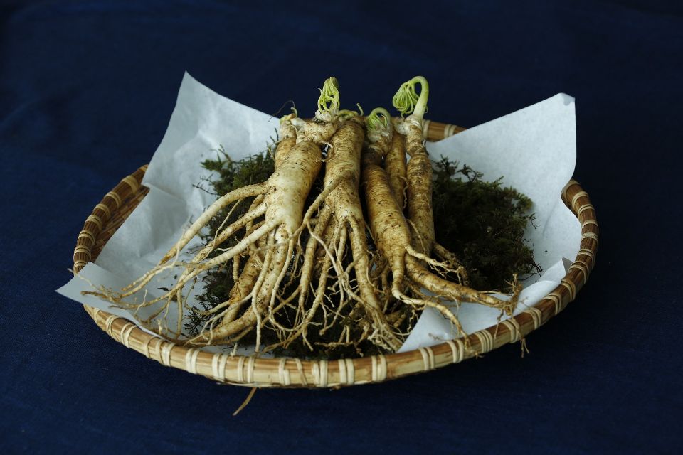 What is Ginseng and is it Worth Adding to Your Diet?