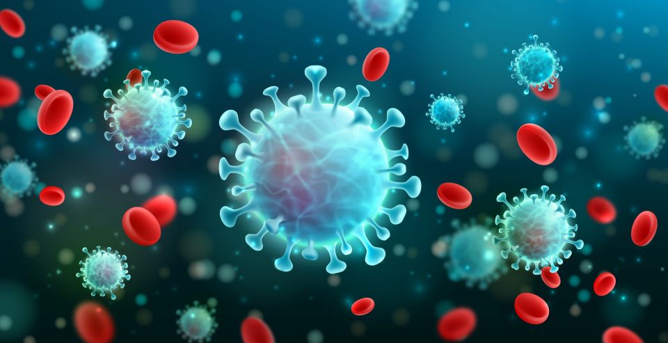 Will Boosting Your Immune System Help Fight Covid-19? Here’s What You Need to Know