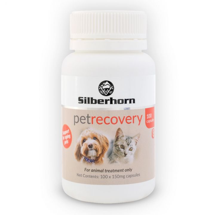 PetRecovery Formula 100 Capsules