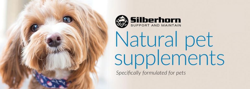 Silberhorn Pet Banner