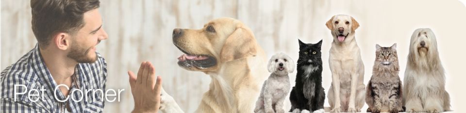 Pet Corner Winter 2022