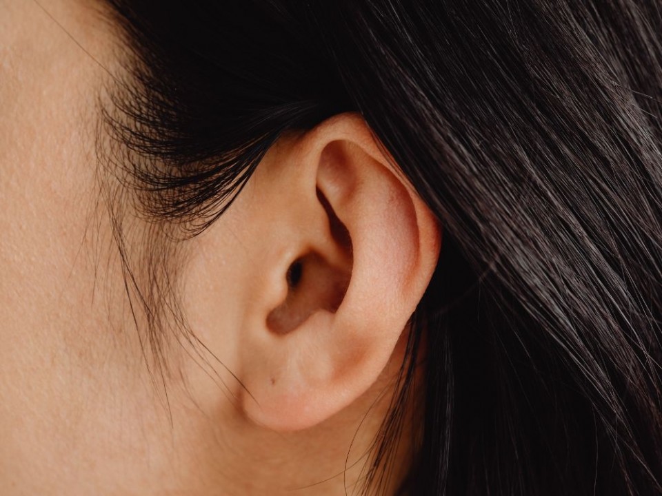 The Human Ear: How it Works and Tips for Protecting Your Hearing