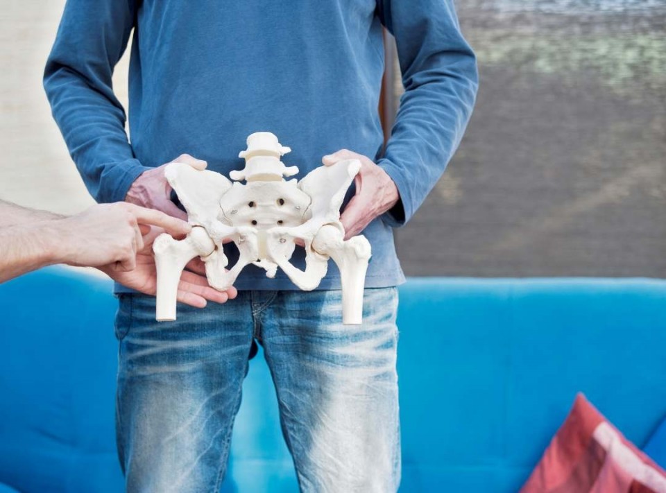 The Hip Joint
