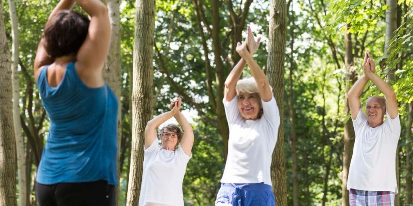 Hip Joint Health - Yoga