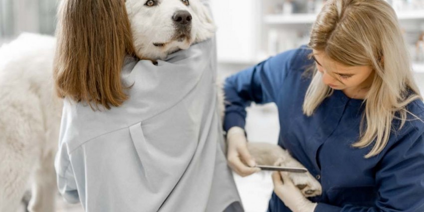 Trim Nails Regularly