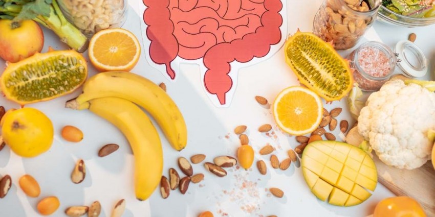 Collagen and its connection to gut health