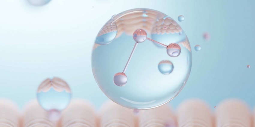 can collagen help with gut health