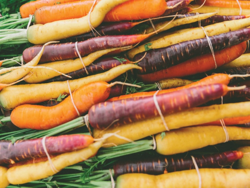 Carrots2