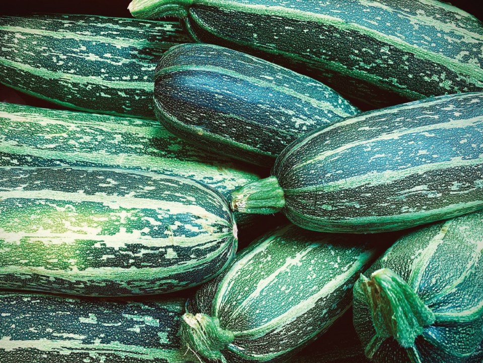 The Origin of Zucchini (Courgette)