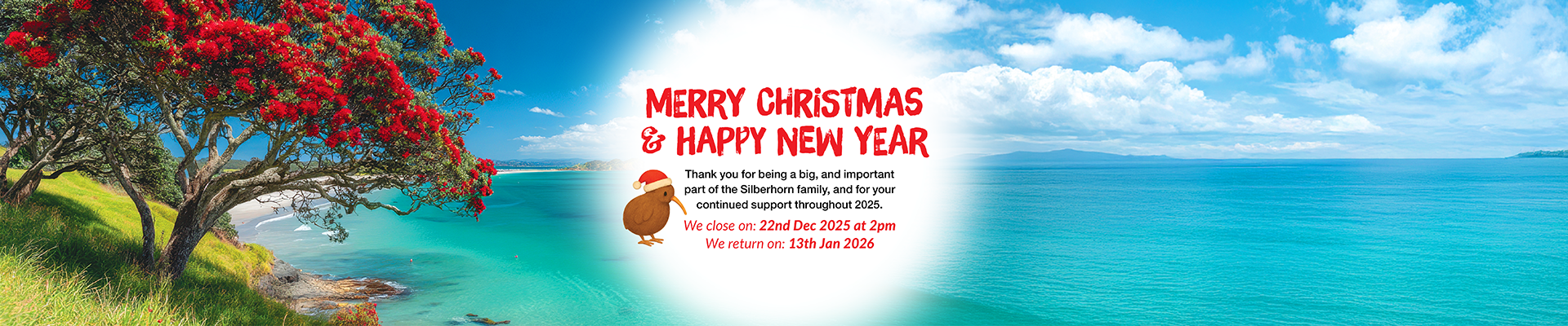 Christmas WebBanner Nov20252