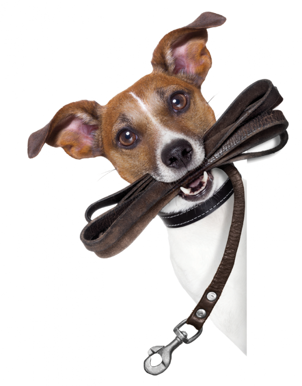 Silberhorn Newsletter M_A_M 2016HR-69 copy