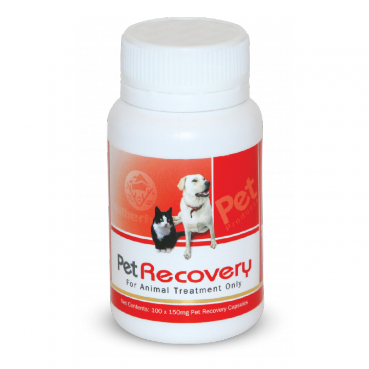PetRecovery - SINGLE